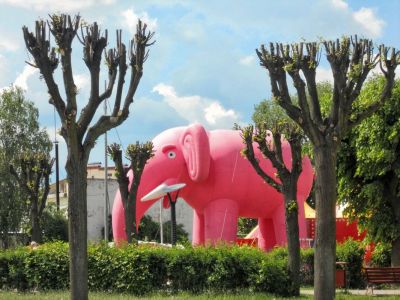 Der Elefant zu Insterburg