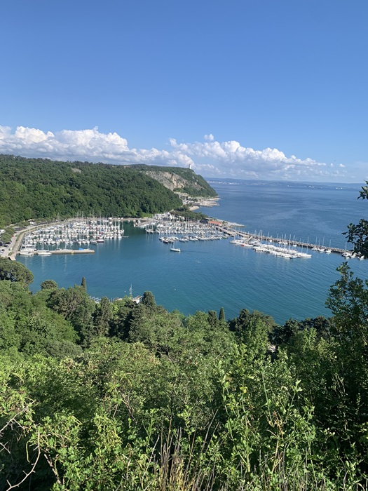 Ausblick vom Rilkeweg