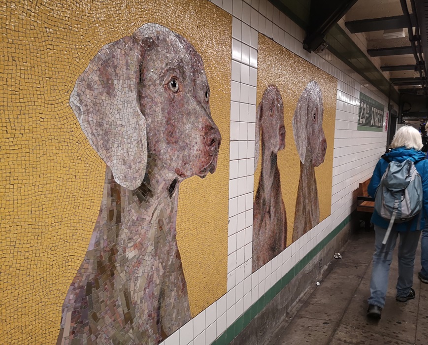 Nicht vor die Hunde gehen im New Yorker Nahverkehr