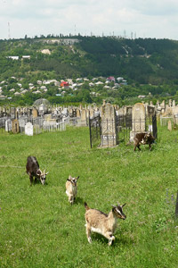 Friedhof in Mohyliv Podilskyj
